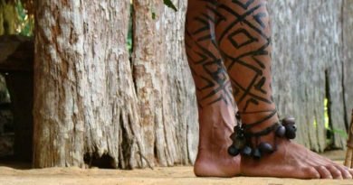 APIB leva à COP 17 agenda por territórios indígenas, direitos e biodiversidade protegidos