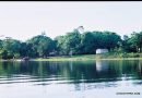 Reserva do Rio Iratapuru avança na proteção ambiental no Amapá
