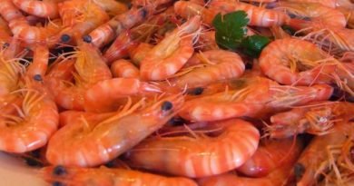MP flagra bolinhos de bacalhau, queijos e camarão em cadeia onde estão políticos