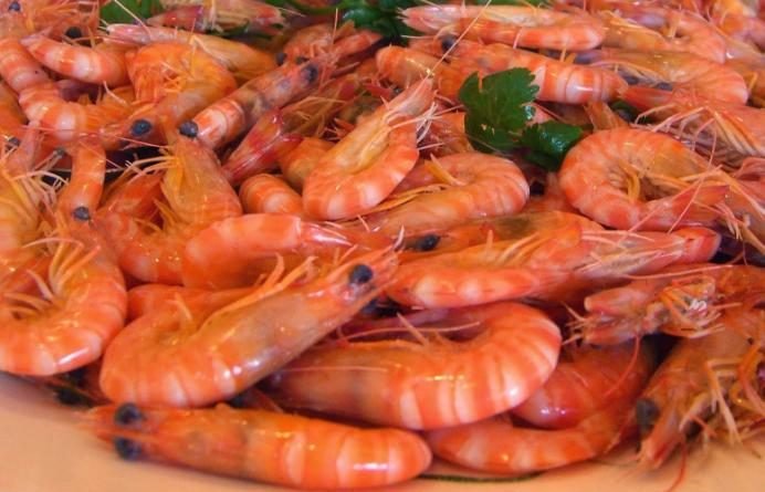 MP flagra bolinhos de bacalhau, queijos e camarão em cadeia onde estão políticos