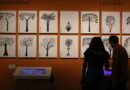 Ter uma vida cultural ativa está associado a um envelhecimento mais lento