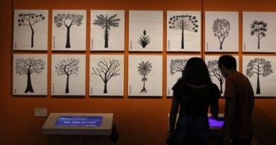 Ter uma vida cultural ativa está associado a um envelhecimento mais lento