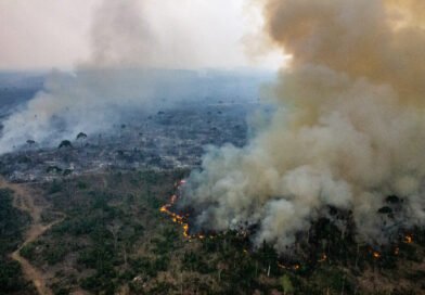 El Niño alimenta crise de incêndios e ameaça a saúde no Brasil