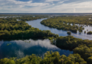 Mais de 30 instituições se unem para fortalecer bioeconomia e pequenos negócios da Amazônia
