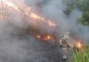 Amapá registra segundo menor número de focos de calor da Amazônia Legal