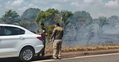Tecnologia ajuda a identificar queimadas em áreas de risco no Amapá