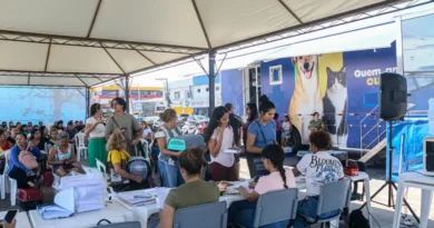 Mutirão de castração atende pets no Mercado Central de Macapá