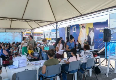 Mutirão de castração atende pets no Mercado Central de Macapá
