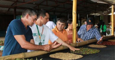 Exposição inédita em Apuí mostra jornada do café “do grão até a xícara”