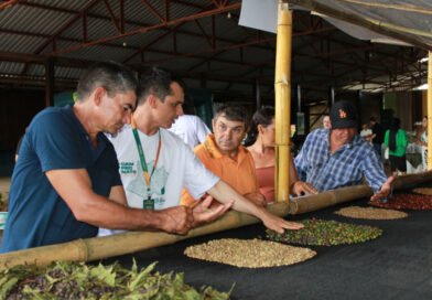Exposição inédita em Apuí mostra jornada do café “do grão até a xícara”