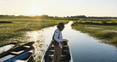 Rota Curiaú une cultura, sabores e tradição em experiência turística