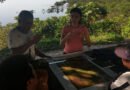  Pesquisa investiga como pessoas e outros seres constroem as florestas amazônica