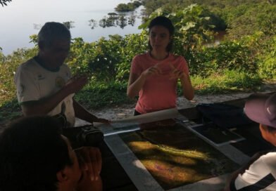  Pesquisa investiga como pessoas e outros seres constroem as florestas amazônica